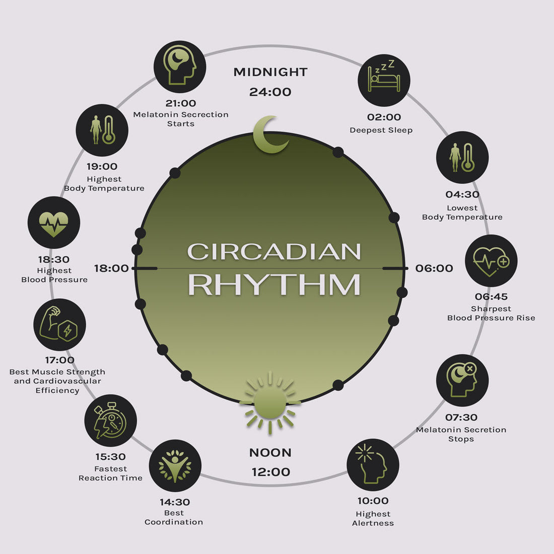 What Is Circadian Rhythm?
