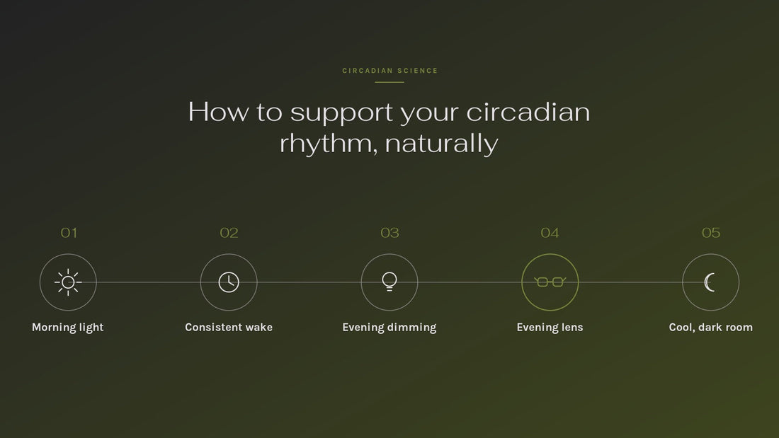How to Support Your Circadian Rhythm Naturally: Five Levers That Actually Work