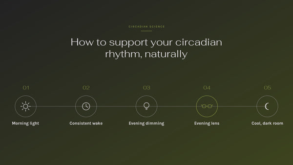 How to Support Your Circadian Rhythm Naturally: Five Levers That Actually Work